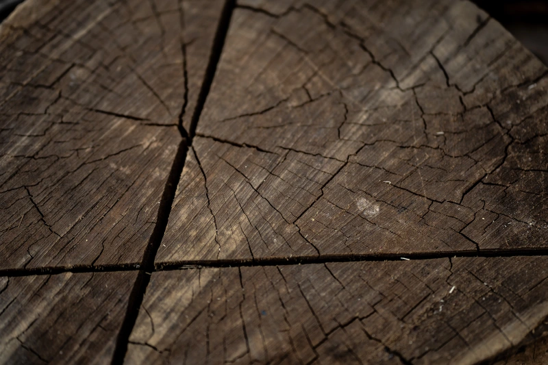 Holz